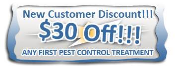 Pest Control Union County, NJ - Coupon