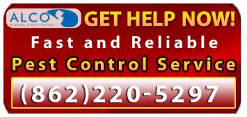 Termites Control NJ quote