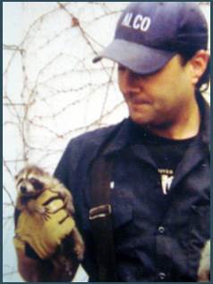 Pest Control in NJ / Animal Control in New Jersey-racoon Image
